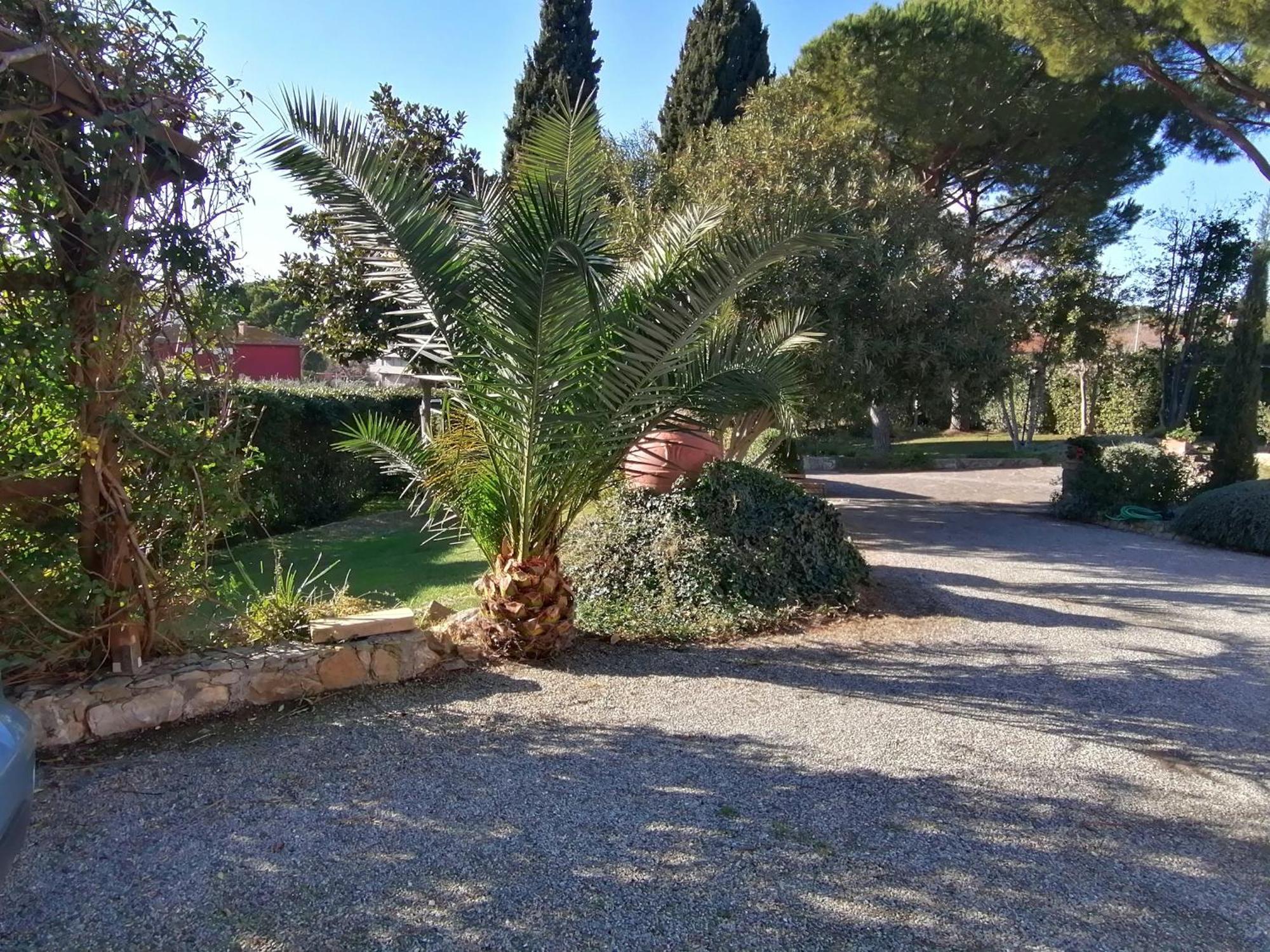 Affitti Brevi Toscana - Villa Simple Fonteblanda Bagian luar foto